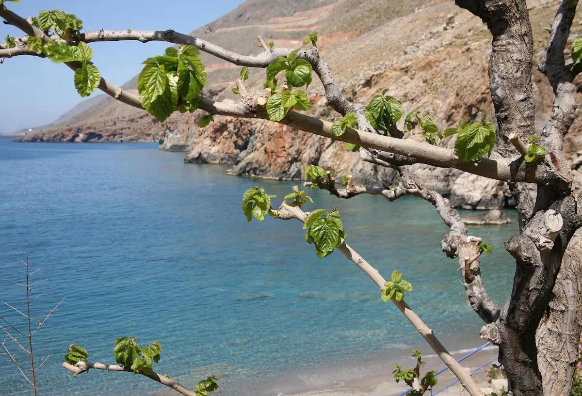 On The Beach Apartments Khóra Sfakíon Екстериор снимка